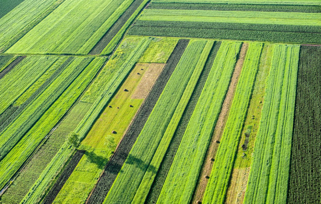 farming.software_crop-rotation